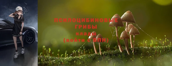 гидропоника Волоколамск